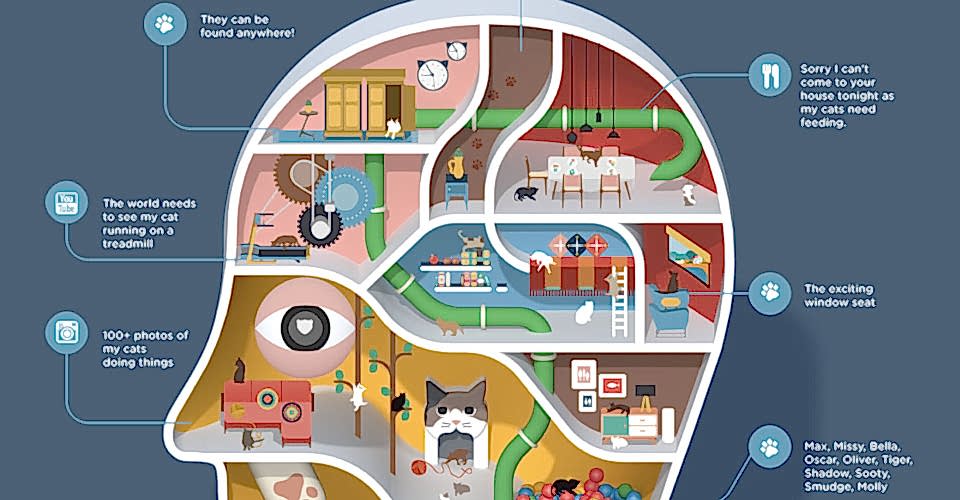 infpgraphic videosu Ankara Video Animasyon After Effect Kurgu